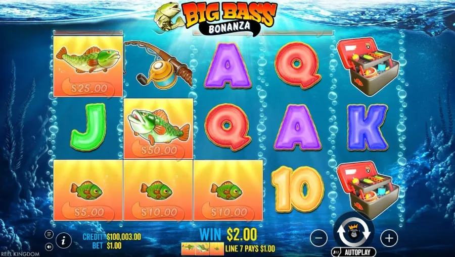 Bonus, dla którego gra się w Big Bass Bonanza